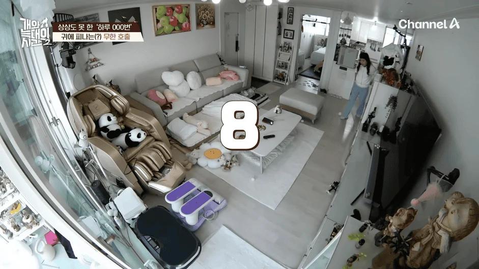 [#개와늑대의시간2] _저 같아도 물 것 같._ 하루에 개를 462번 부르는 보호자!_😨🚨 (귀에 딱지 앉을 듯.)🤕🐕 _ 개와 늑대의 시간2 17회 15-51 screenshot.png