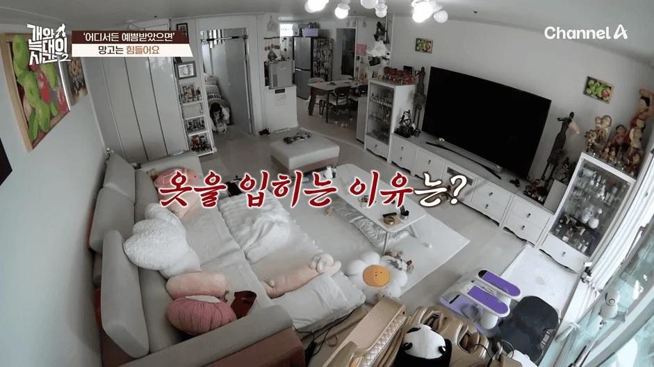[#개와늑대의시간2] _저 같아도 물 것 같._ 하루에 개를 462번 부르는 보호자!_😨🚨 (귀에 딱지 앉을 듯.)🤕🐕 _ 개와 늑대의 시간2 17회 9-55 screenshot.png