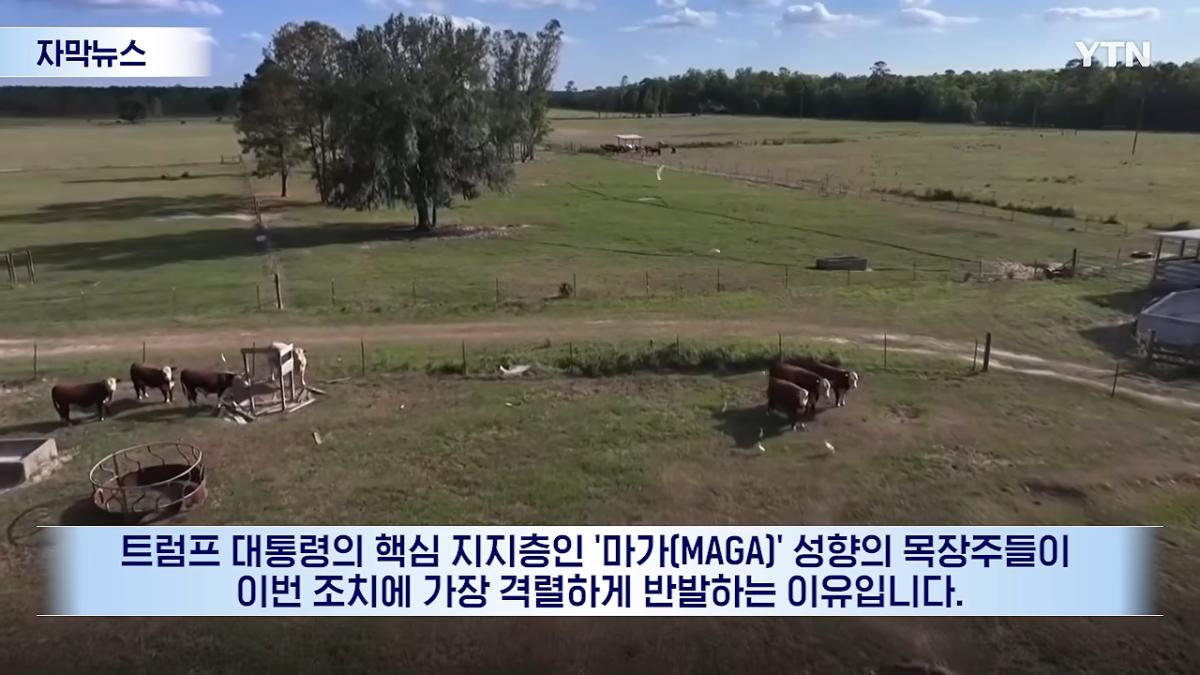 연준마저 우려하는 트럼프의 폭주.선거 앞두고 민심은 '사형선고' [자막뉴스] _ YTN 0-37 screenshot.png