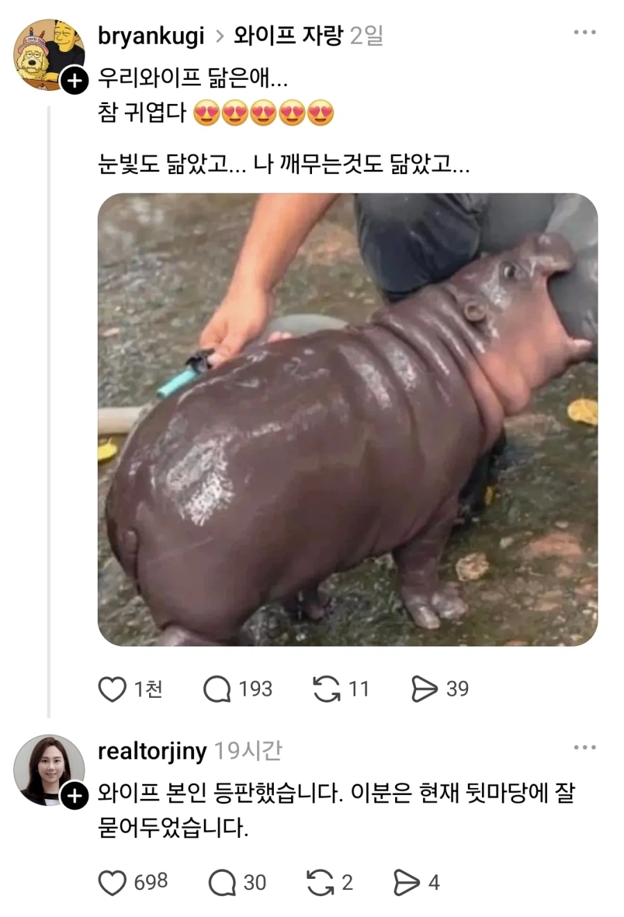 1a03111cc4953e9e7.webp