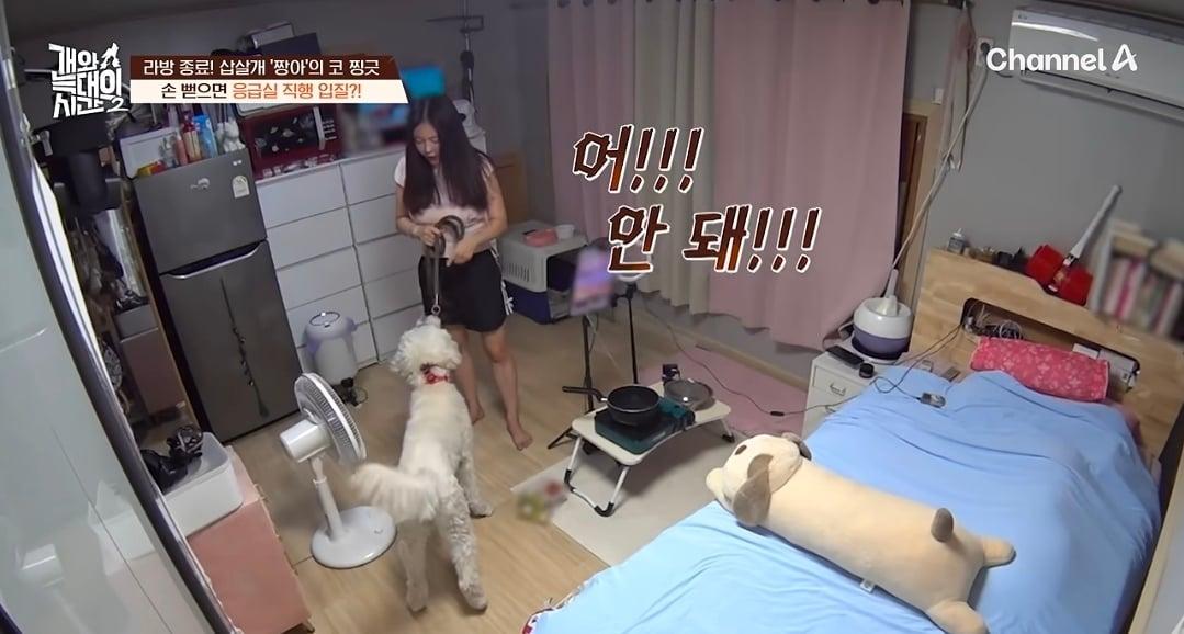 Screenshot_20260825_140506_YouTube.jpg