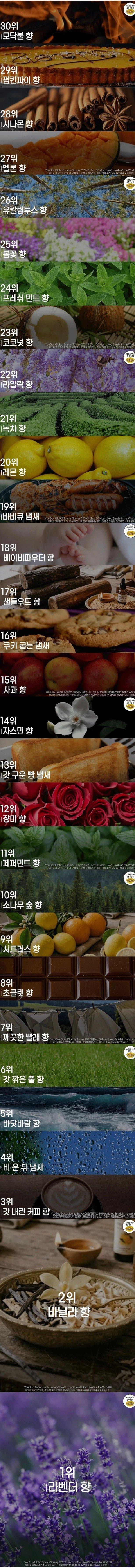 사람들이 좋아하는 향순위.jpg