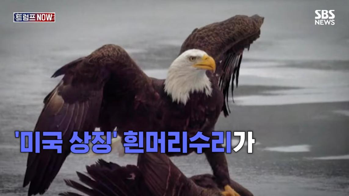 SBS 뉴스 - 미국에 전력 끊어! 중국이야 우리야 똘똘 뭉친 '원팀 캐나다' 분노 폭발.전 세계가 참았지 트럼프 .jpeg.png
