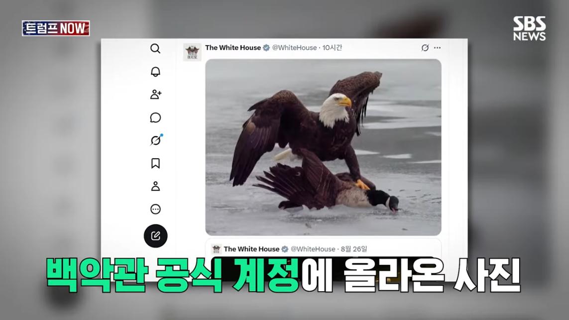 SBS 뉴스 - 미국에 전력 끊어! 중국이야 우리야 똘똘 뭉친 '원팀 캐나다' 분노 폭발.전 세계가 참았지 트럼프 .jpeg.png