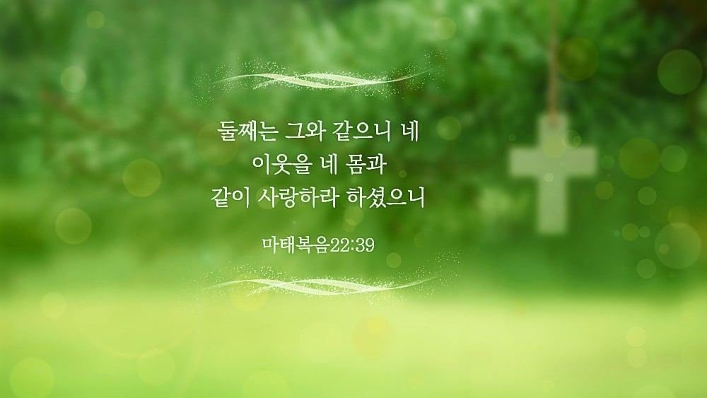 네-몸과-같이-사랑하라-하셨으니.jpg