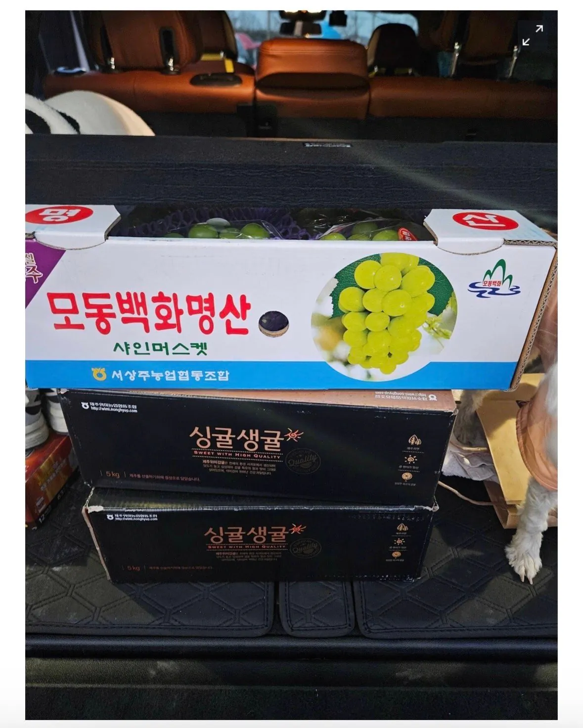 IMG_6295.jpeg 돈벌고 많이썼다고 자랑하는 하이닉스 직원.jpg