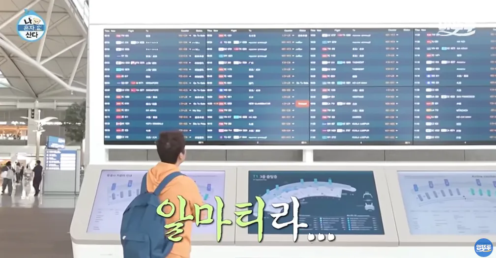 11_18.png 도파민 터지는 전현무의 무계획 즉흥여행 ㄷㄷㄷㄷㄷㄷㄷ.jpg