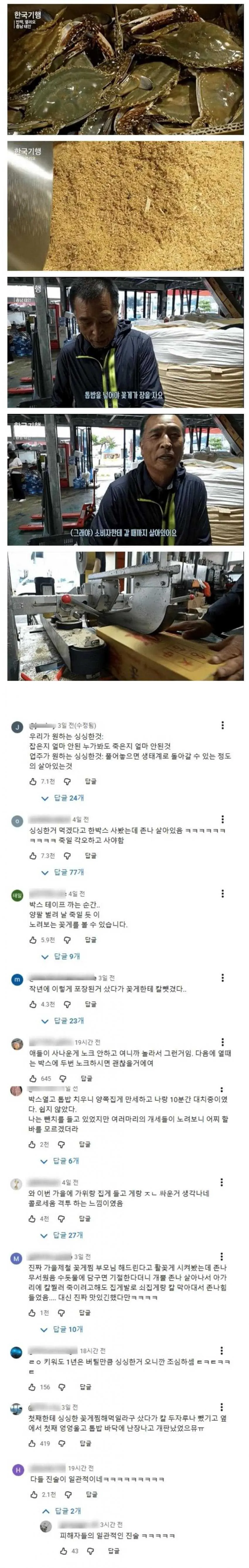 image.png 꽃게 위에 톱밥을 가득 얹는 이유.jpg