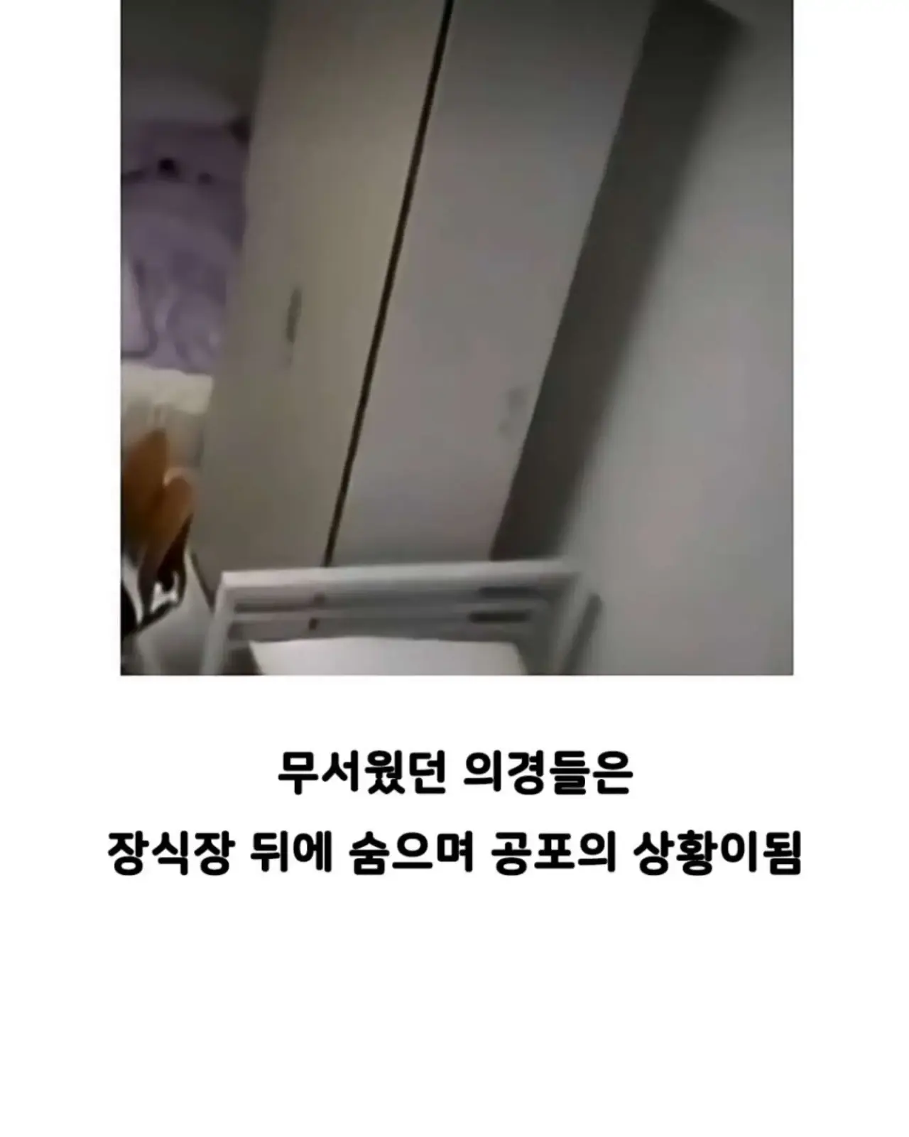 4.jpg.ren.webp 자기 빼고 빵 먹었다고 의경에 총 쏜 경찰