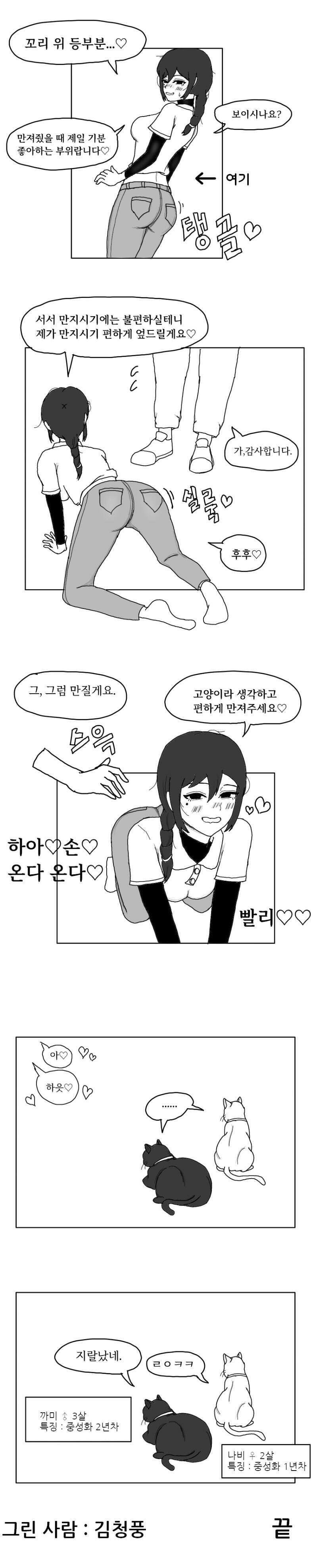 03.jpg