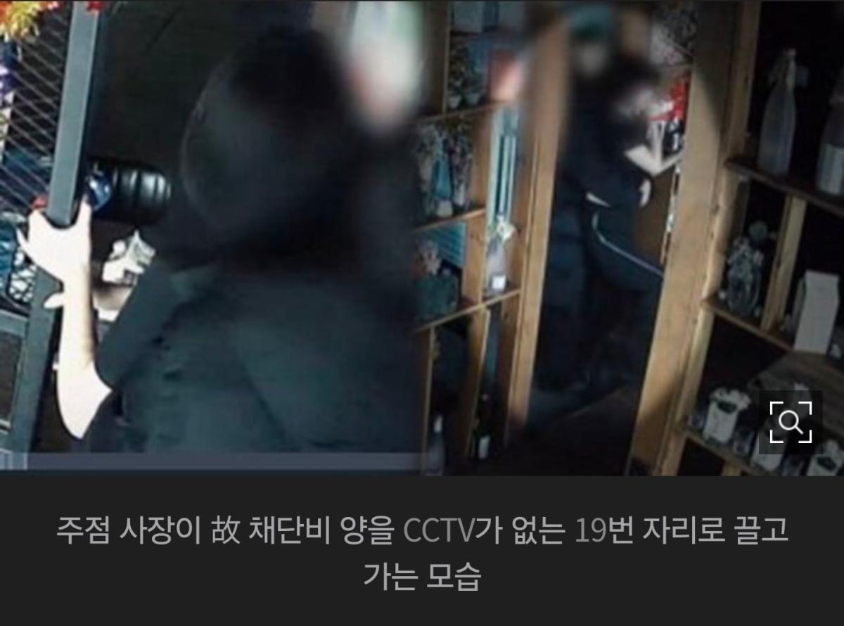 Screenshot_20260901_191120_NAVER.jpg