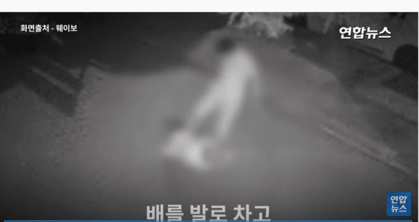 baseball_new10-20210622-132129-006.png 중국의 무관심한 문화.jpg