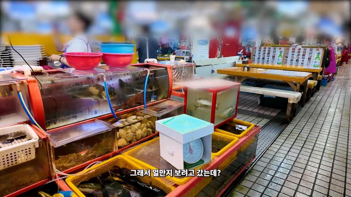부산 3대 시장 솔직 비교 _ 현지인들이 자갈치 대신 여기 가는 이유_20260906_181635.632.jpg