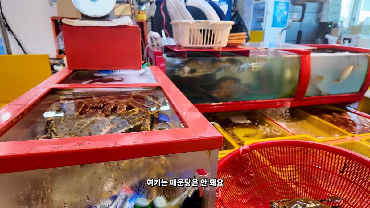 부산 3대 시장 솔직 비교 _ 현지인들이 자갈치 대신 여기 가는 이유_20260906_181535.344.jpg