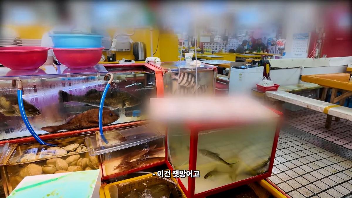 부산 3대 시장 솔직 비교 _ 현지인들이 자갈치 대신 여기 가는 이유_20260906_181646.768.jpg