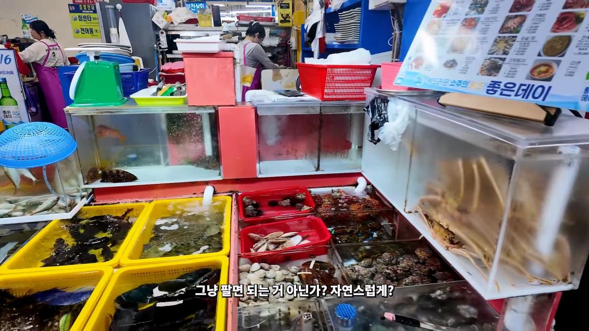 부산 3대 시장 솔직 비교 _ 현지인들이 자갈치 대신 여기 가는 이유_20260906_181359.560.jpg