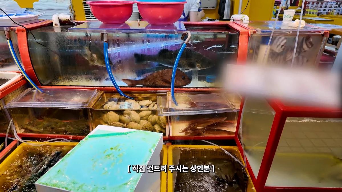 부산 3대 시장 솔직 비교 _ 현지인들이 자갈치 대신 여기 가는 이유_20260906_181652.856.jpg