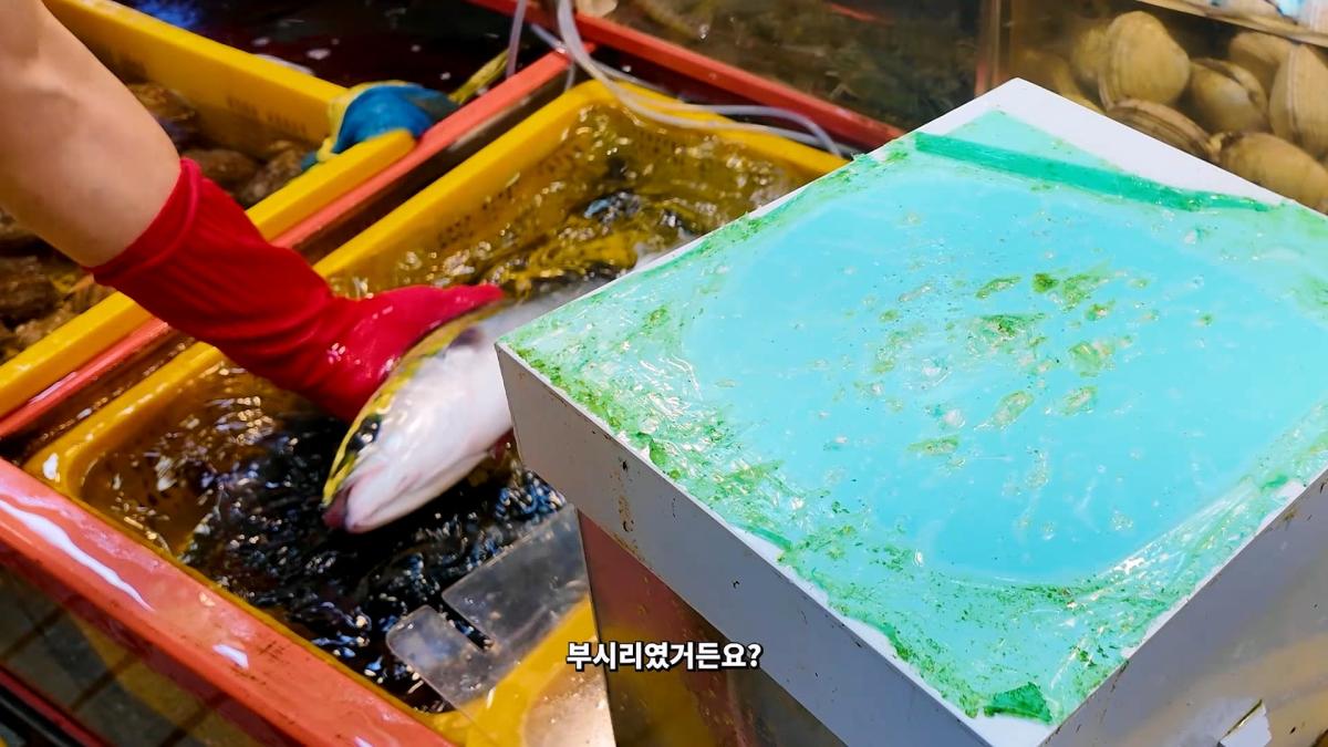부산 3대 시장 솔직 비교 _ 현지인들이 자갈치 대신 여기 가는 이유_20260906_181850.479.jpg