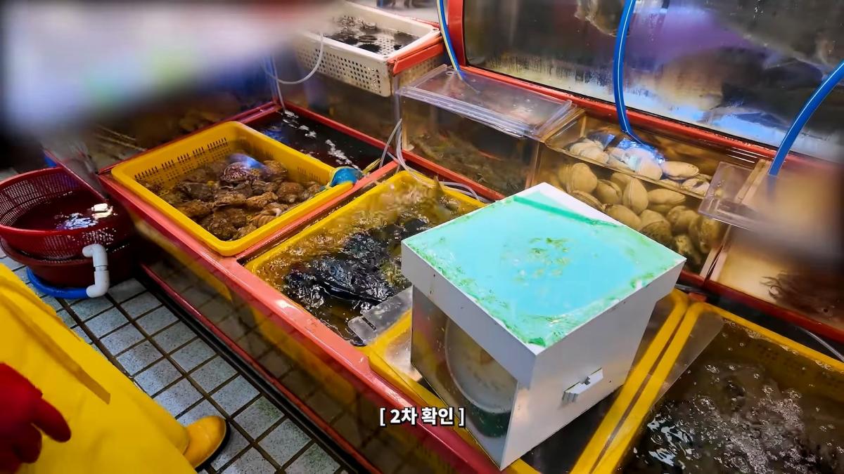 부산 3대 시장 솔직 비교 _ 현지인들이 자갈치 대신 여기 가는 이유_20260906_181827.951.jpg