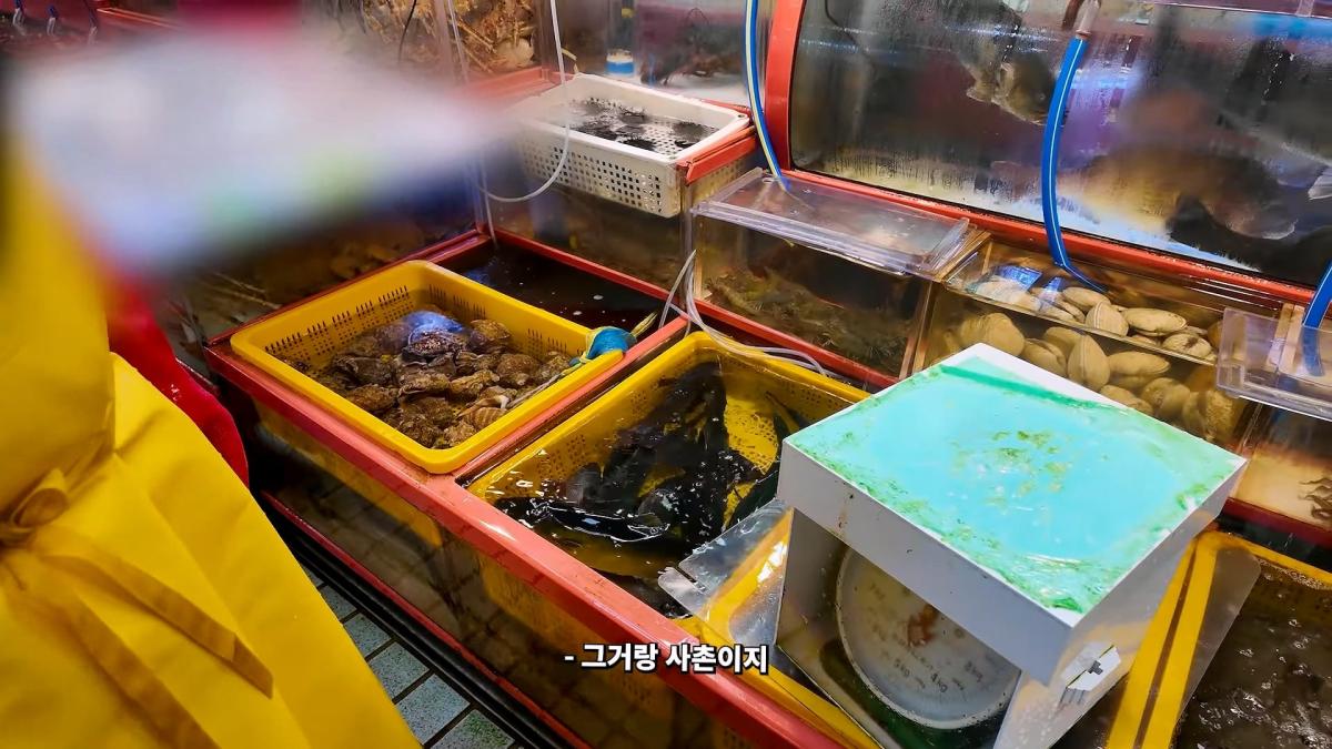 부산 3대 시장 솔직 비교 _ 현지인들이 자갈치 대신 여기 가는 이유_20260906_181846.984.jpg