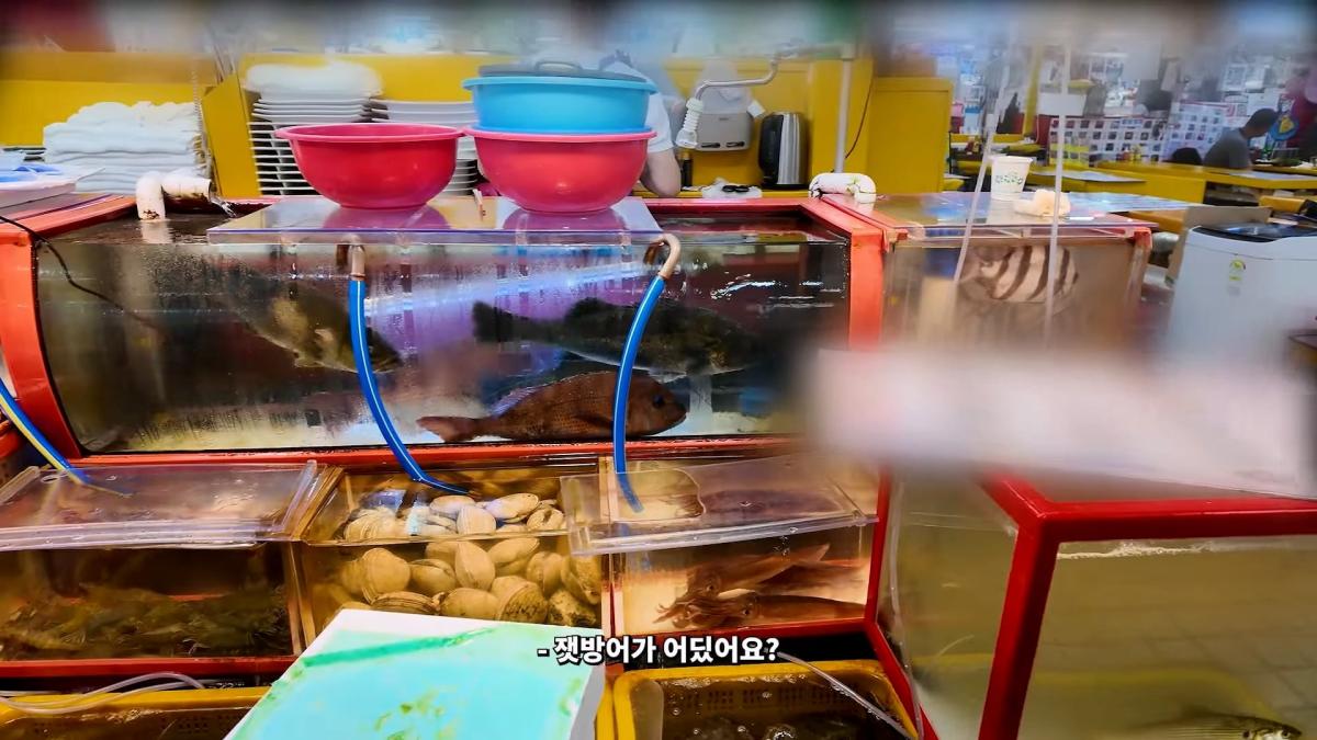 부산 3대 시장 솔직 비교 _ 현지인들이 자갈치 대신 여기 가는 이유_20260906_181649.216.jpg