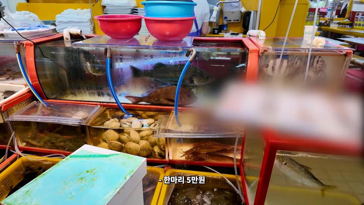 부산 3대 시장 솔직 비교 _ 현지인들이 자갈치 대신 여기 가는 이유_20260906_181739.711.jpg