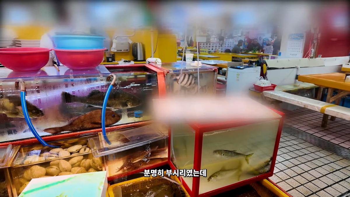 부산 3대 시장 솔직 비교 _ 현지인들이 자갈치 대신 여기 가는 이유_20260906_181933.663.jpg