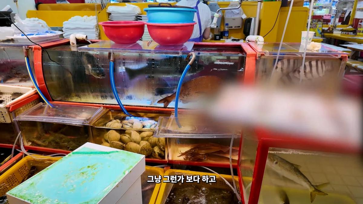 부산 3대 시장 솔직 비교 _ 현지인들이 자갈치 대신 여기 가는 이유_20260906_182011.111.jpg