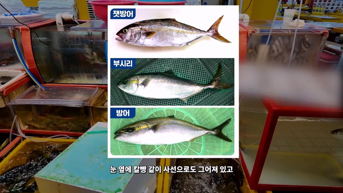 부산 3대 시장 솔직 비교 _ 현지인들이 자갈치 대신 여기 가는 이유_20260906_181946.208.jpg