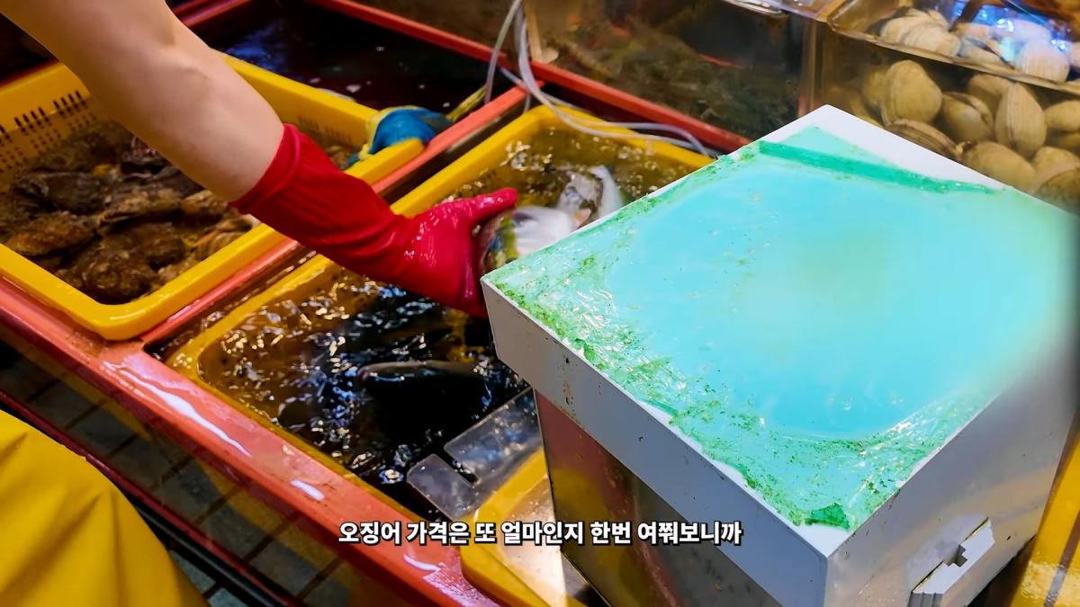 부산 3대 시장 솔직 비교 _ 현지인들이 자갈치 대신 여기 가는 이유_20260906_182013.408.jpg