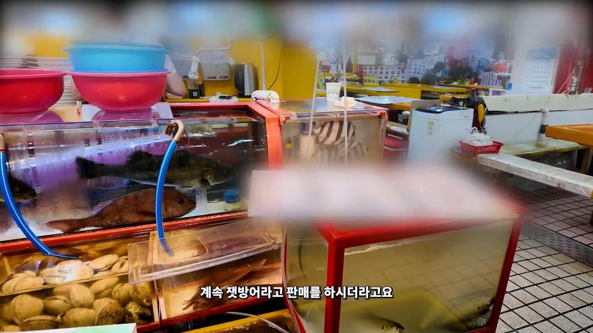 부산 3대 시장 솔직 비교 _ 현지인들이 자갈치 대신 여기 가는 이유_20260906_181935.416.jpg