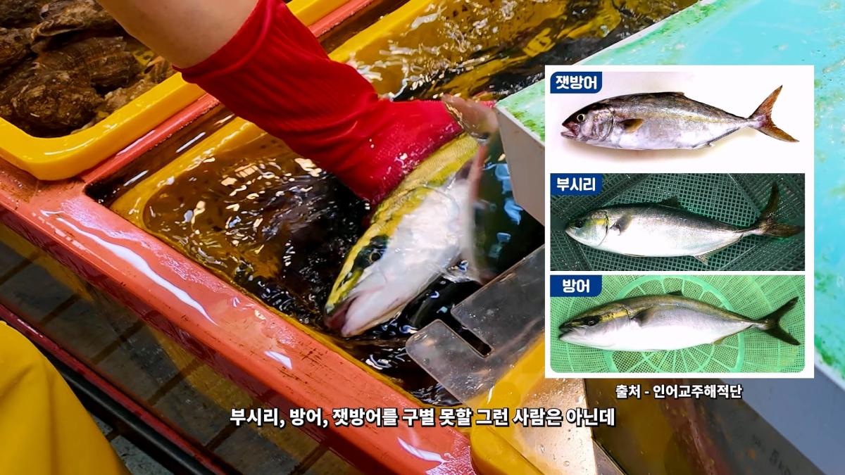 부산 3대 시장 솔직 비교 _ 현지인들이 자갈치 대신 여기 가는 이유_20260906_181902.895.jpg