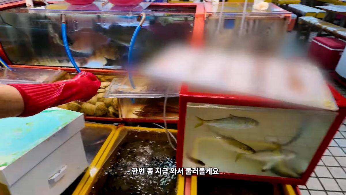 부산 3대 시장 솔직 비교 _ 현지인들이 자갈치 대신 여기 가는 이유_20260906_182017.704.jpg