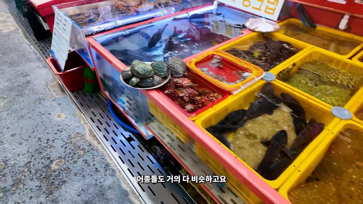 부산 3대 시장 솔직 비교 _ 현지인들이 자갈치 대신 여기 가는 이유_20260906_182325.768.jpg