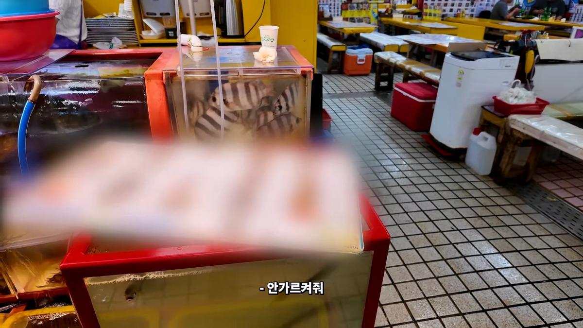 부산 3대 시장 솔직 비교 _ 현지인들이 자갈치 대신 여기 가는 이유_20260906_182022.360.jpg