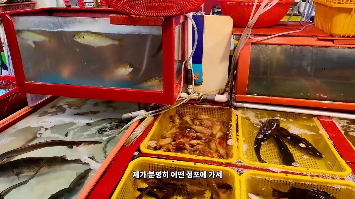 부산 3대 시장 솔직 비교 _ 현지인들이 자갈치 대신 여기 가는 이유_20260906_182402.271.jpg