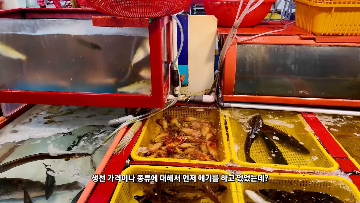 부산 3대 시장 솔직 비교 _ 현지인들이 자갈치 대신 여기 가는 이유_20260906_182406.215.jpg