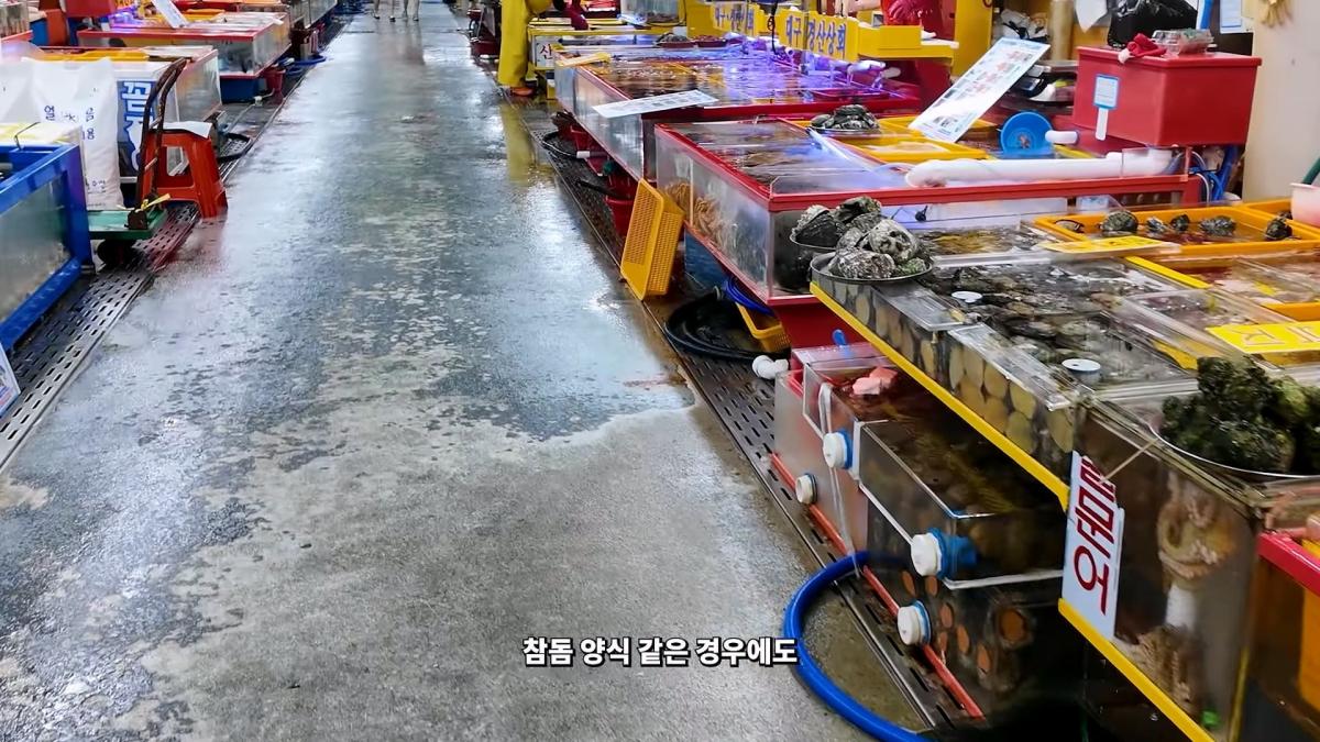 부산 3대 시장 솔직 비교 _ 현지인들이 자갈치 대신 여기 가는 이유_20260906_182740.520.jpg