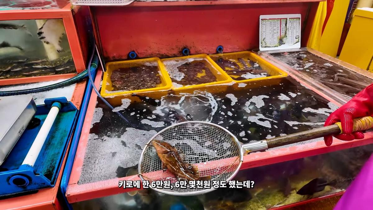 부산 3대 시장 솔직 비교 _ 현지인들이 자갈치 대신 여기 가는 이유_20260906_182845.759.jpg