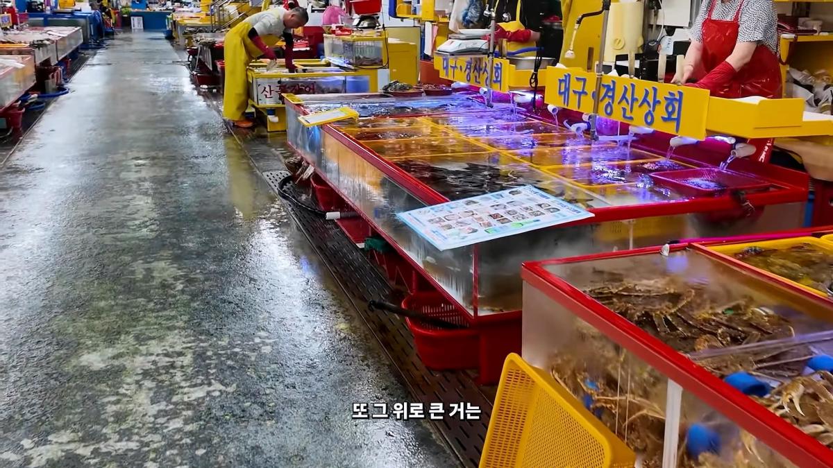 부산 3대 시장 솔직 비교 _ 현지인들이 자갈치 대신 여기 가는 이유_20260906_182750.455.jpg