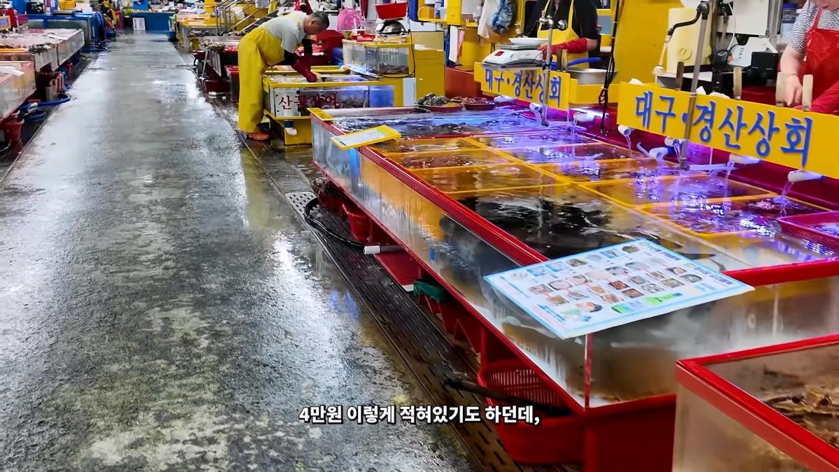 부산 3대 시장 솔직 비교 _ 현지인들이 자갈치 대신 여기 가는 이유_20260906_182751.895.jpg