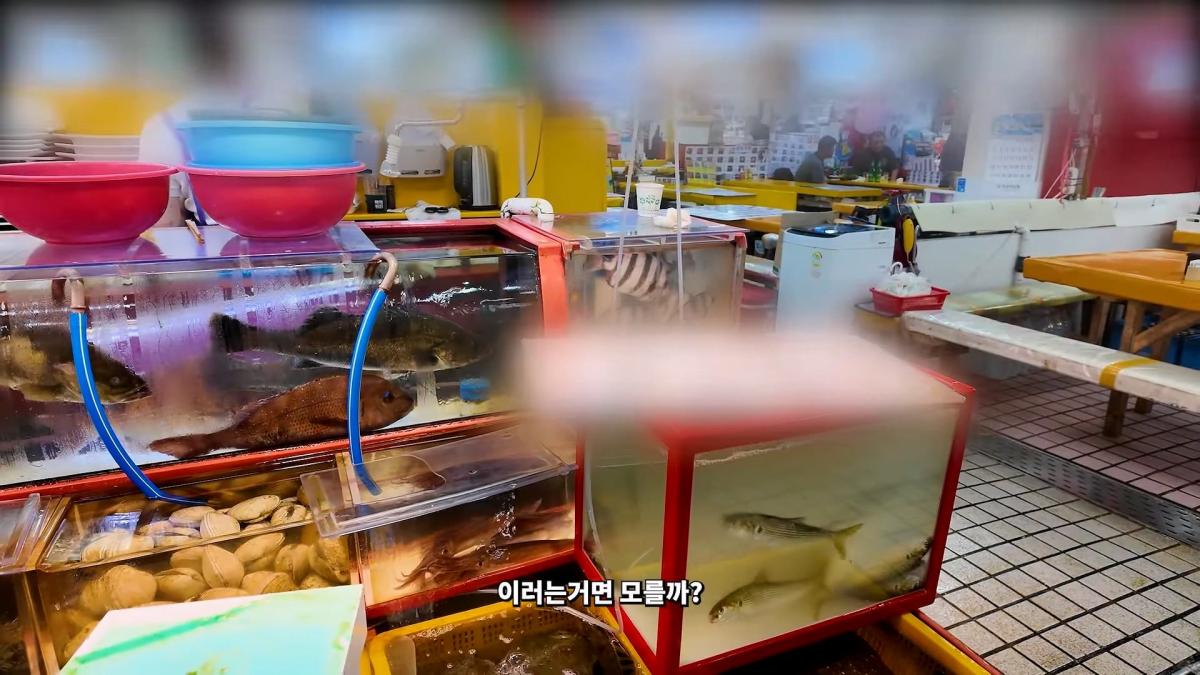 부산 3대 시장 솔직 비교 _ 현지인들이 자갈치 대신 여기 가는 이유_20260906_183052.767.jpg