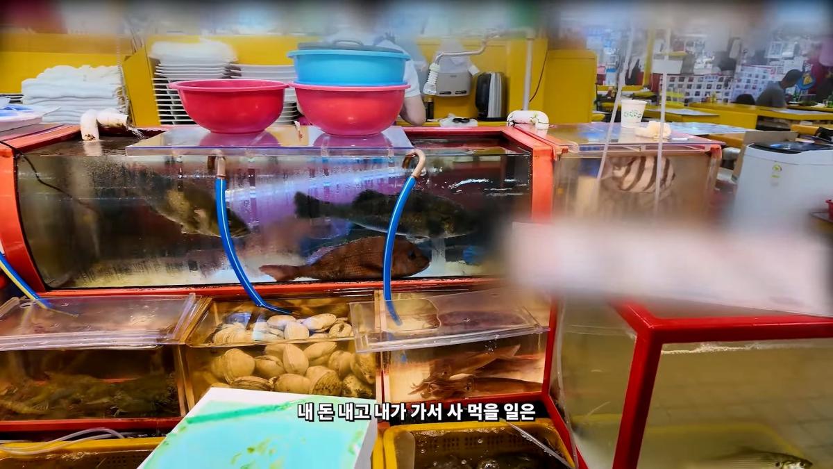부산 3대 시장 솔직 비교 _ 현지인들이 자갈치 대신 여기 가는 이유_20260906_183055.391.jpg