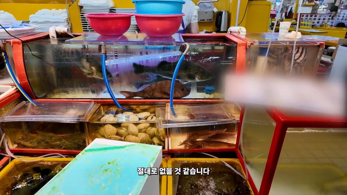 부산 3대 시장 솔직 비교 _ 현지인들이 자갈치 대신 여기 가는 이유_20260906_183057.215.jpg