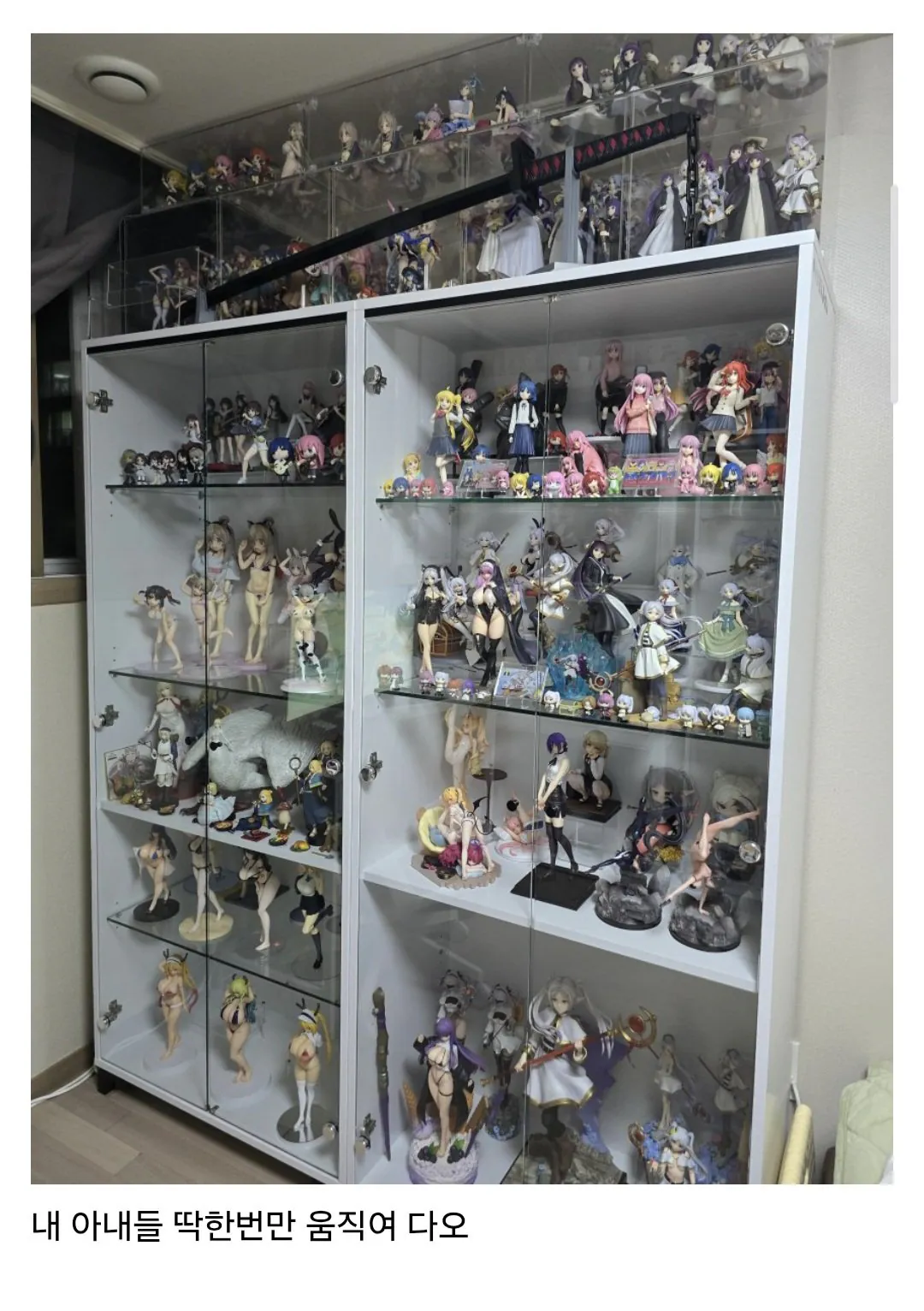 Screenshot_20260516_170206_SamsungInternet(1).jpg ㅇㅎ) 토이토이 집에 사람 모양 피규어를 두면 안 되는 이유와 디시인들 반응