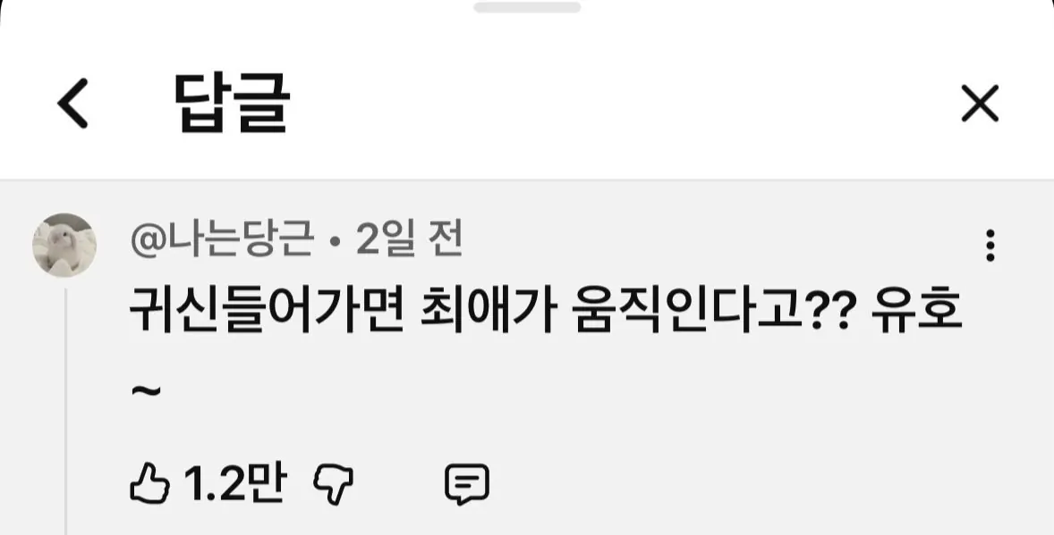 19e2fa9bc2d4cde27(1).jpg ㅇㅎ) 토이토이 집에 사람 모양 피규어를 두면 안 되는 이유와 디시인들 반응