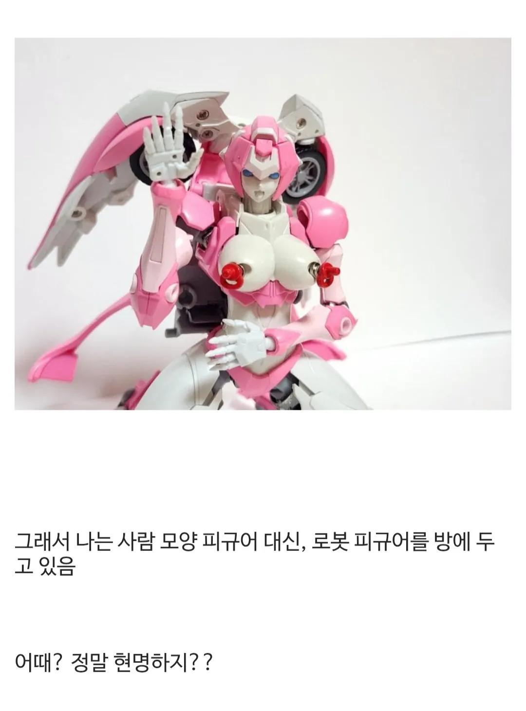 Screenshot_20260516_170539(1).jpg ㅇㅎ) 토이토이 집에 사람 모양 피규어를 두면 안 되는 이유와 디시인들 반응