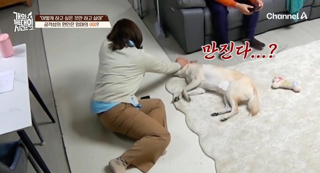 Screenshot_20260908_074624_YouTube.jpg
