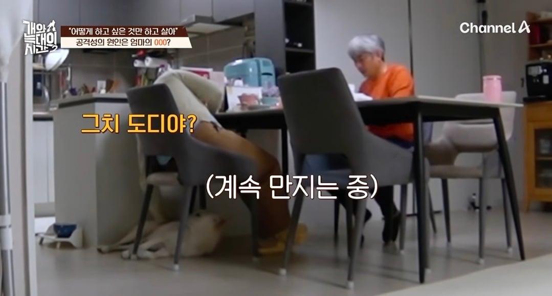 Screenshot_20260908_074953_YouTube.jpg