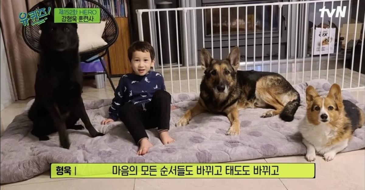 pic_006.jpg [유퀴즈] 강형욱도 해결해줄수 없다는 보호자들의 질문.JPG